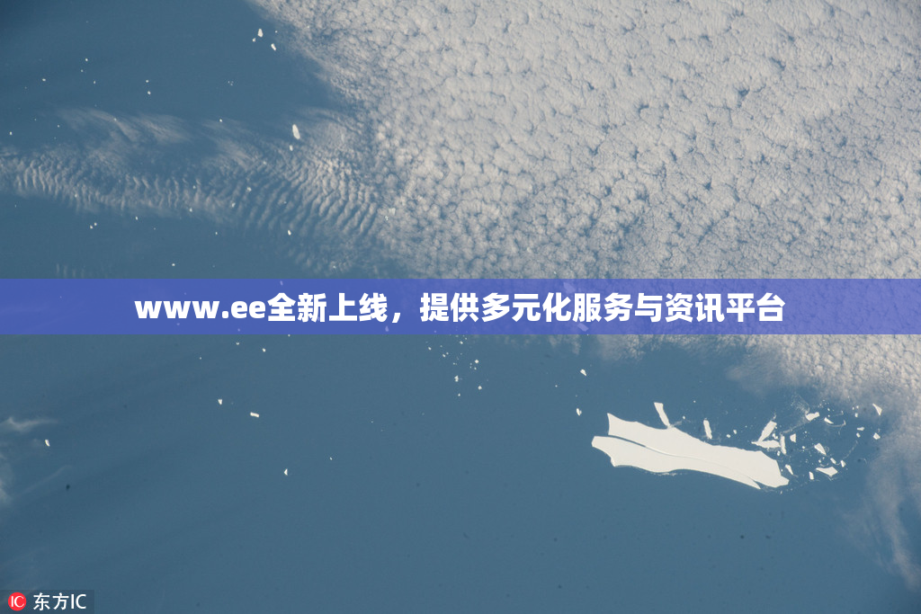 www.ee全新上线，提供多元化服务与资讯平台