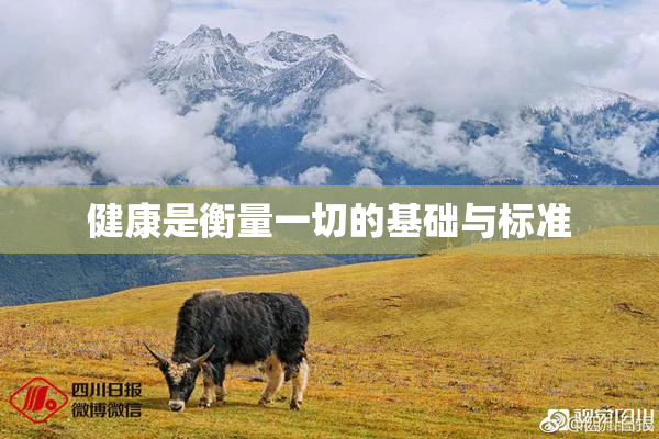 健康是衡量一切的基础与标准