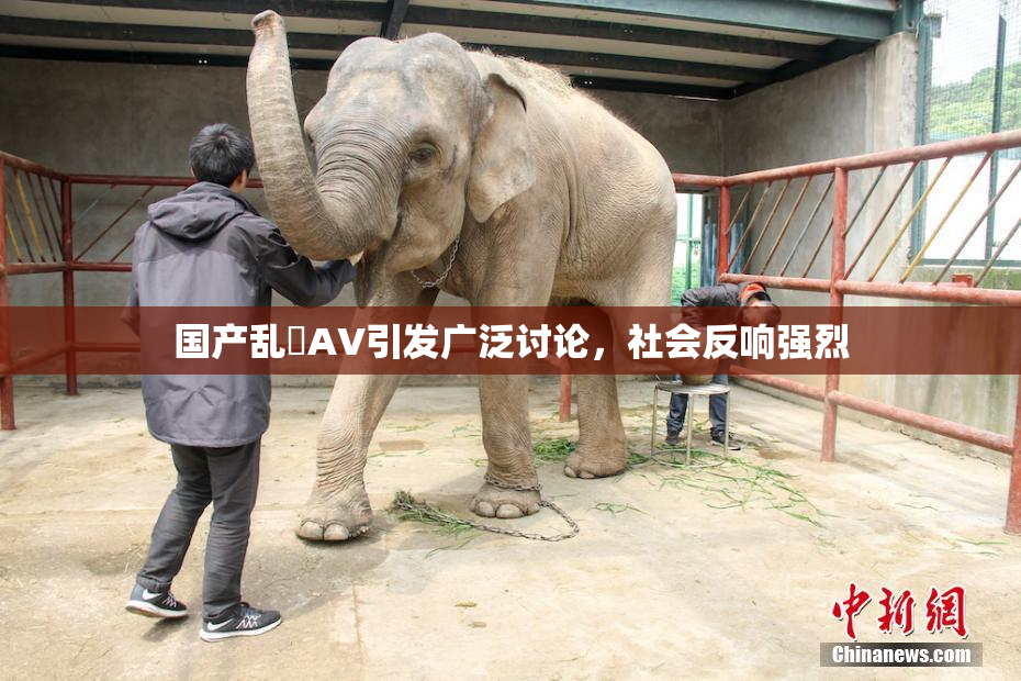 国产乱婬AV引发广泛讨论，社会反响强烈