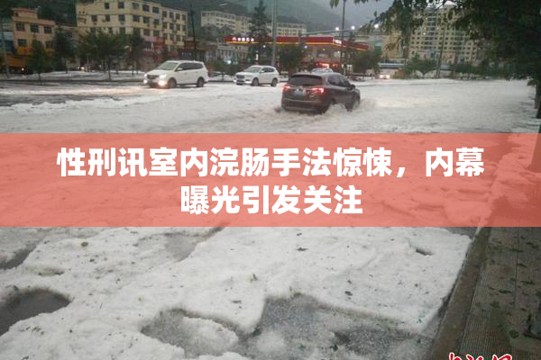 性刑讯室内浣肠手法惊悚，内幕曝光引发关注