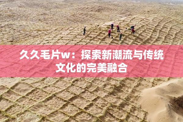 久久毛片w：探索新潮流与传统文化的完美融合