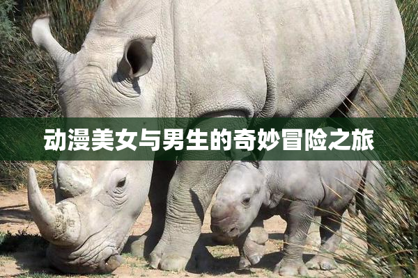 动漫美女与男生的奇妙冒险之旅