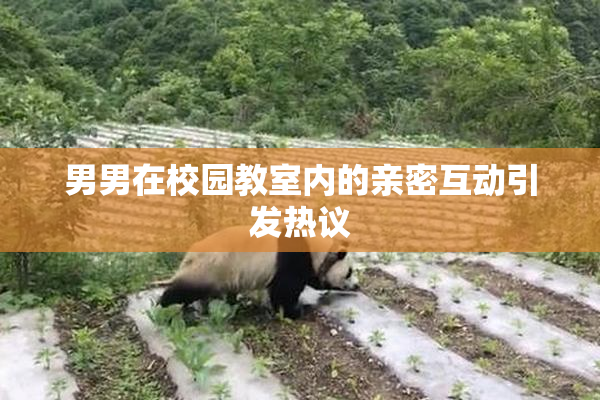 男男在校园教室内的亲密互动引发热议