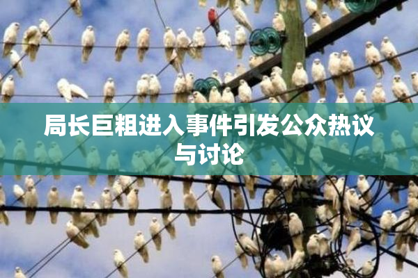 局长巨粗进入事件引发公众热议与讨论