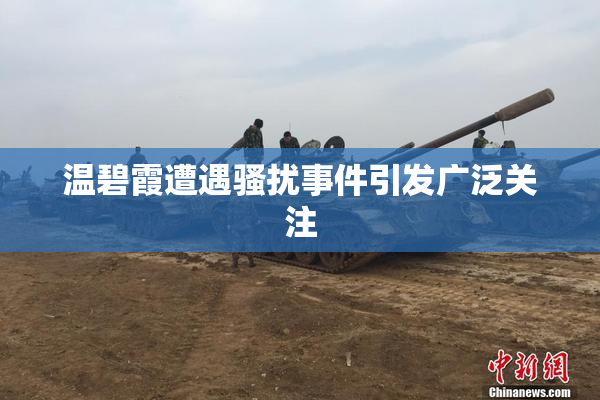 温碧霞遭遇骚扰事件引发广泛关注