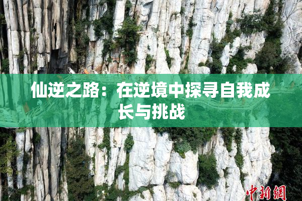 仙逆之路：在逆境中探寻自我成长与挑战