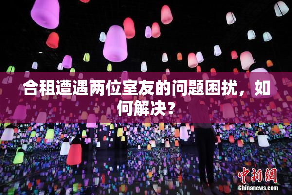 合租遭遇两位室友的问题困扰，如何解决？