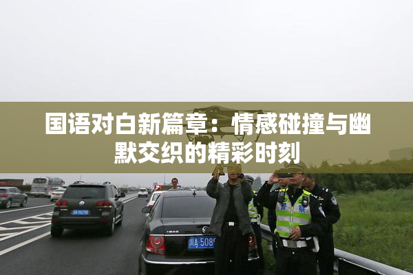 国语对白新篇章：情感碰撞与幽默交织的精彩时刻