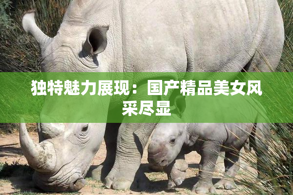 独特魅力展现：国产精品美女风采尽显
