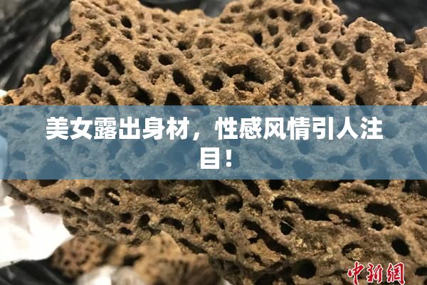 美女露出身材，性感风情引人注目！