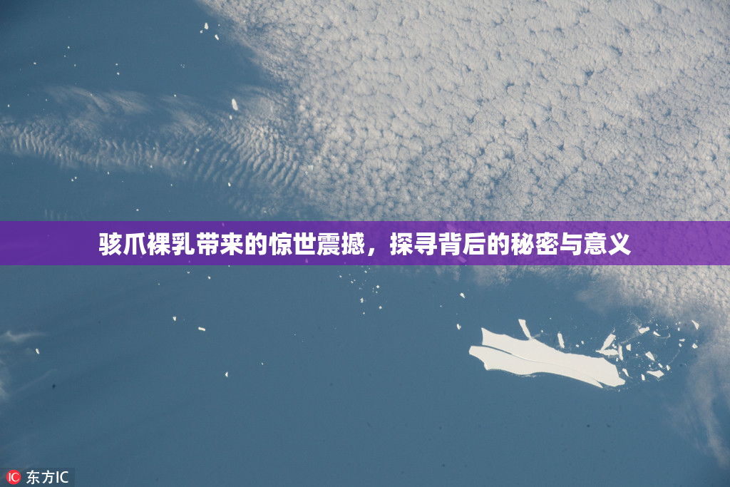 骇爪裸乳带来的惊世震撼，探寻背后的秘密与意义