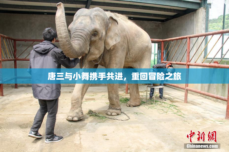 唐三与小舞携手共进，重回冒险之旅