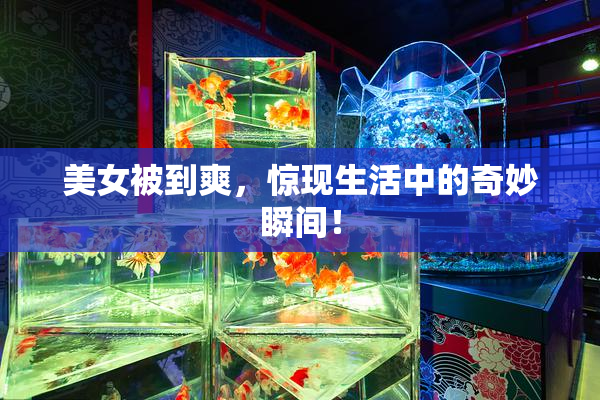 美女被到爽，惊现生活中的奇妙瞬间！