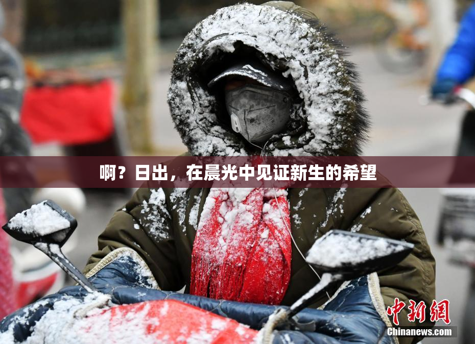 啊？日出，在晨光中见证新生的希望