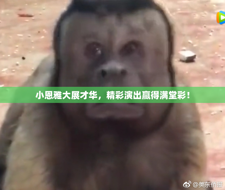 小恩雅大展才华，精彩演出赢得满堂彩！