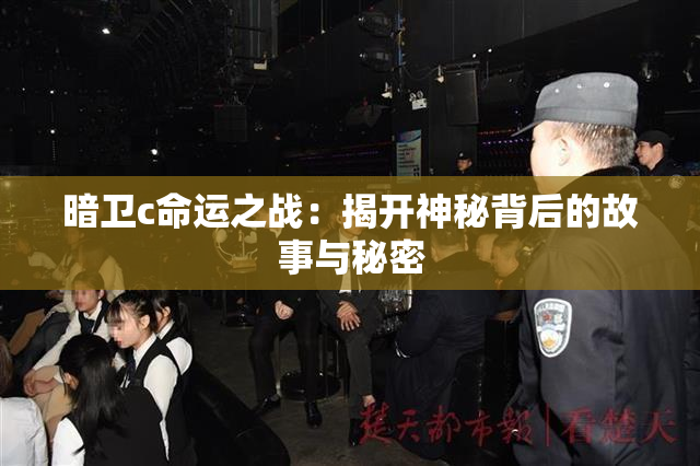 暗卫c命运之战：揭开神秘背后的故事与秘密