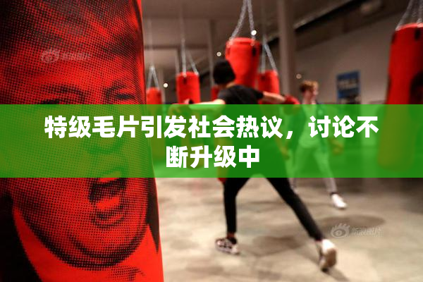 特级毛片引发社会热议，讨论不断升级中