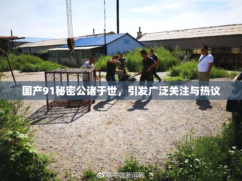 国产91秘密公诸于世，引发广泛关注与热议