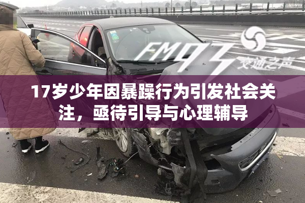 17岁少年因暴躁行为引发社会关注，亟待引导与心理辅导