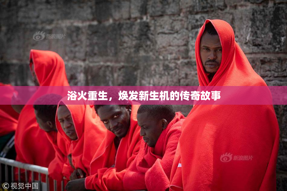 浴火重生，焕发新生机的传奇故事