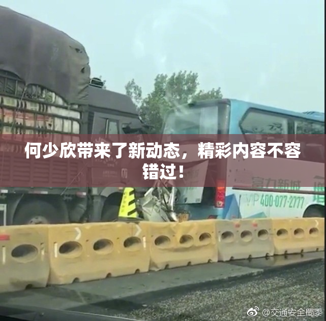 何少欣带来了新动态，精彩内容不容错过！