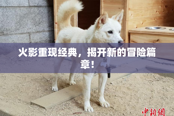 火影重现经典，揭开新的冒险篇章！