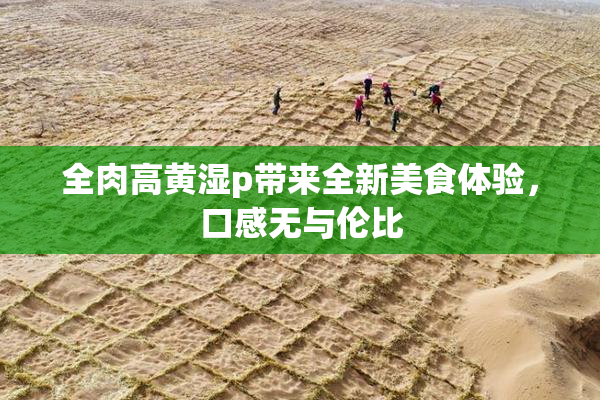 全肉高黄湿p带来全新美食体验，口感无与伦比