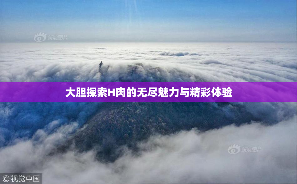 大胆探索H肉的无尽魅力与精彩体验