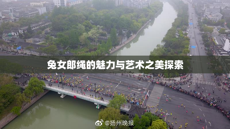 兔女郎绳的魅力与艺术之美探索
