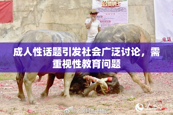 成人性话题引发社会广泛讨论，需重视性教育问题
