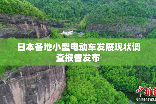 日本各地小型电动车发展现状调查报告发布