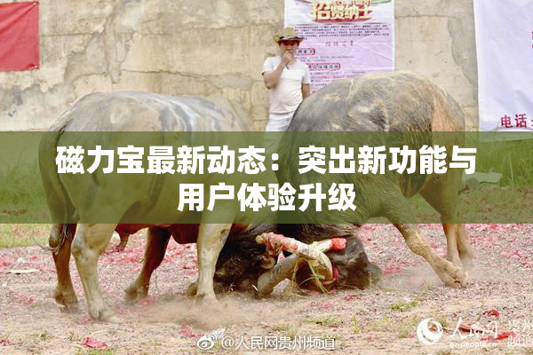 磁力宝最新动态：突出新功能与用户体验升级