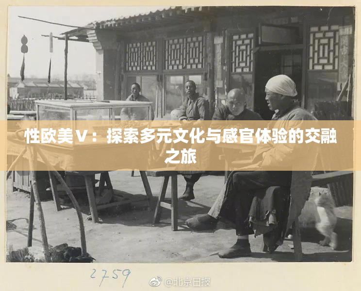 性欧美Ⅴ：探索多元文化与感官体验的交融之旅