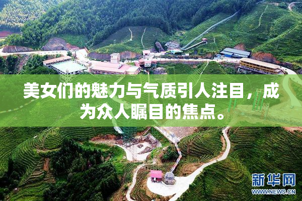 美女们的魅力与气质引人注目，成为众人瞩目的焦点。