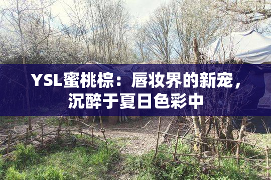 YSL蜜桃棕：唇妆界的新宠，沉醉于夏日色彩中