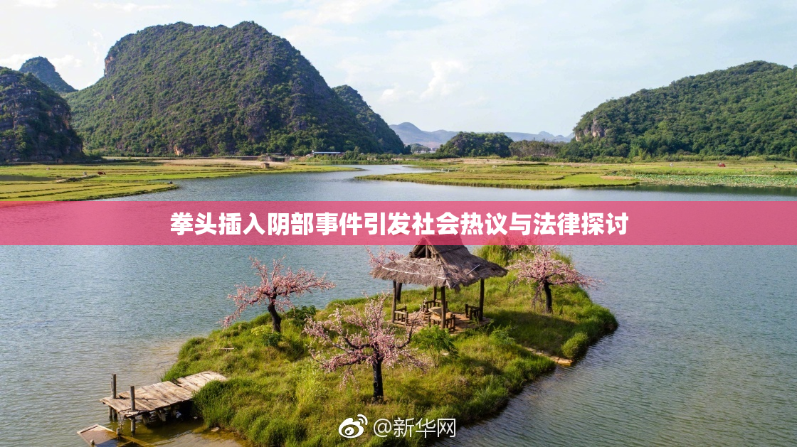 拳头插入阴部事件引发社会热议与法律探讨