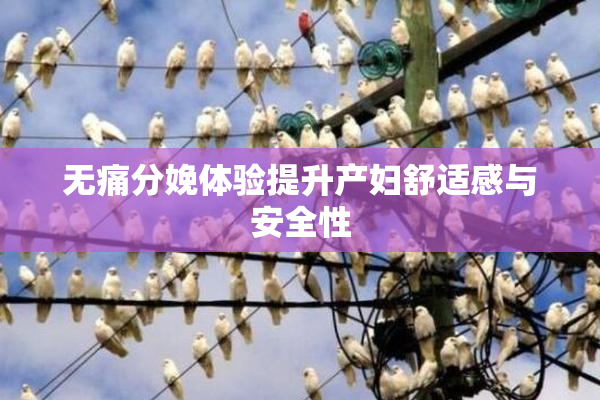 无痛分娩体验提升产妇舒适感与安全性
