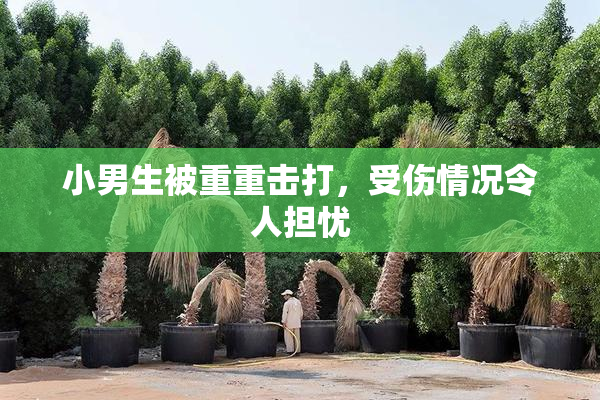 小男生被重重击打，受伤情况令人担忧