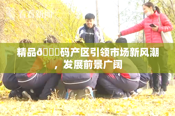 精品🈚码产区引领市场新风潮，发展前景广阔