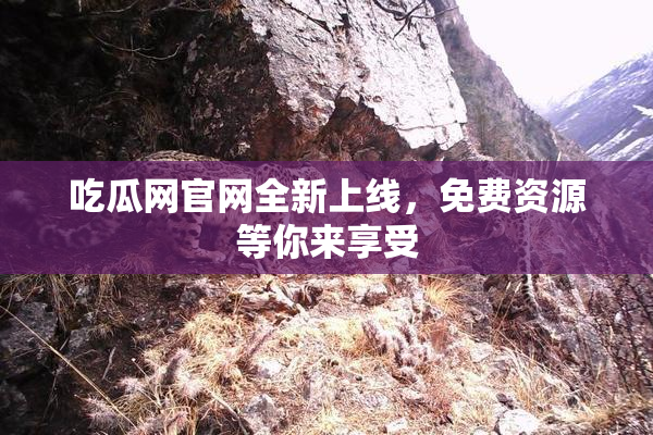 吃瓜网官网全新上线，免费资源等你来享受