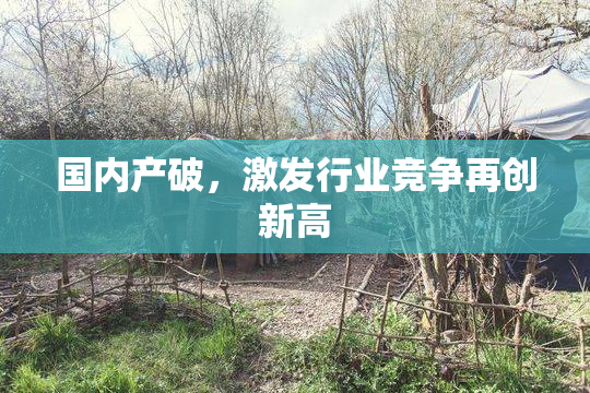 国内产破，激发行业竞争再创新高
