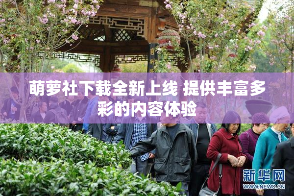 萌萝社下载全新上线 提供丰富多彩的内容体验