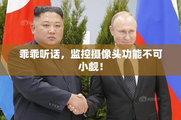 乖乖听话，监控摄像头功能不可小觑！