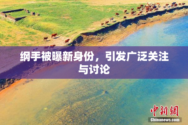 纲手被曝新身份，引发广泛关注与讨论
