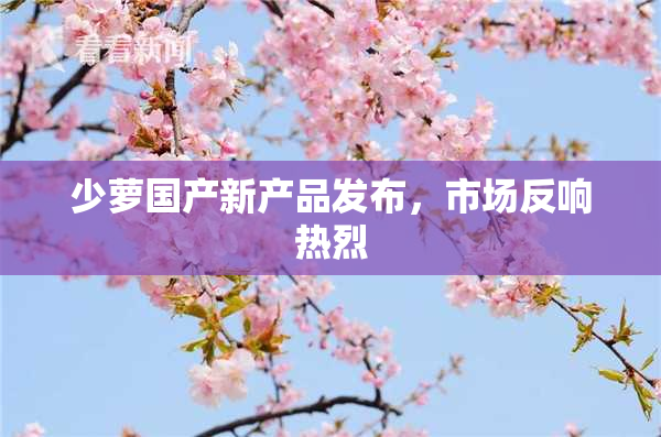 少萝国产新产品发布，市场反响热烈