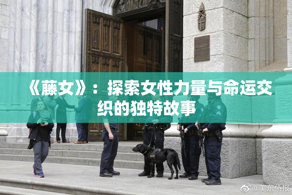 《藤女》：探索女性力量与命运交织的独特故事