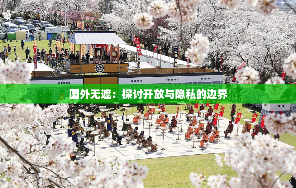 国外无遮：探讨开放与隐私的边界