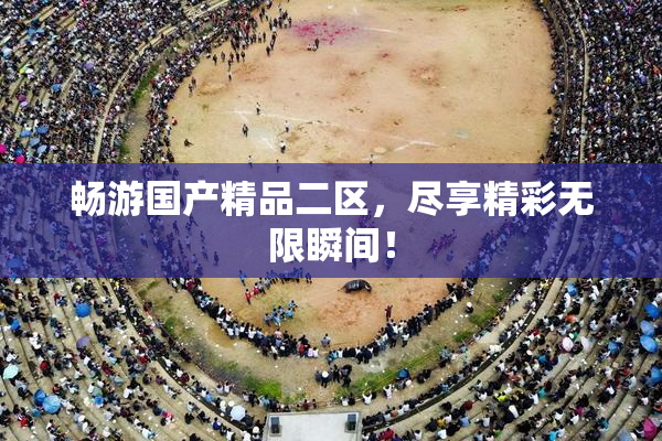 畅游国产精品二区，尽享精彩无限瞬间！
