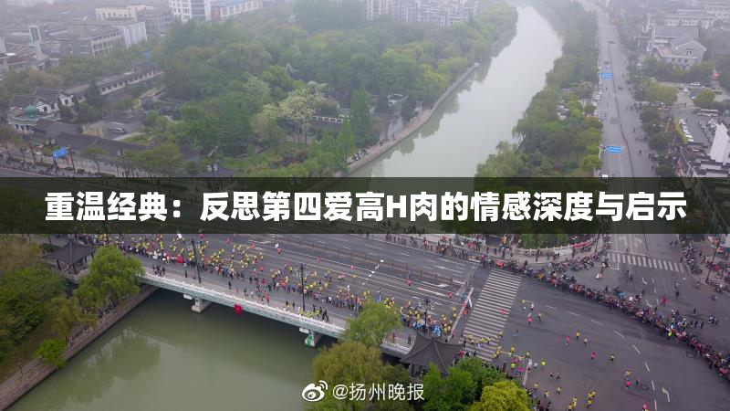 重温经典：反思第四爱高H肉的情感深度与启示