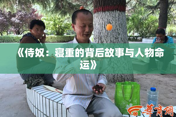 《侍奴：寝重的背后故事与人物命运》